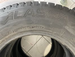 Lassa Winterpneu Neu 1stk