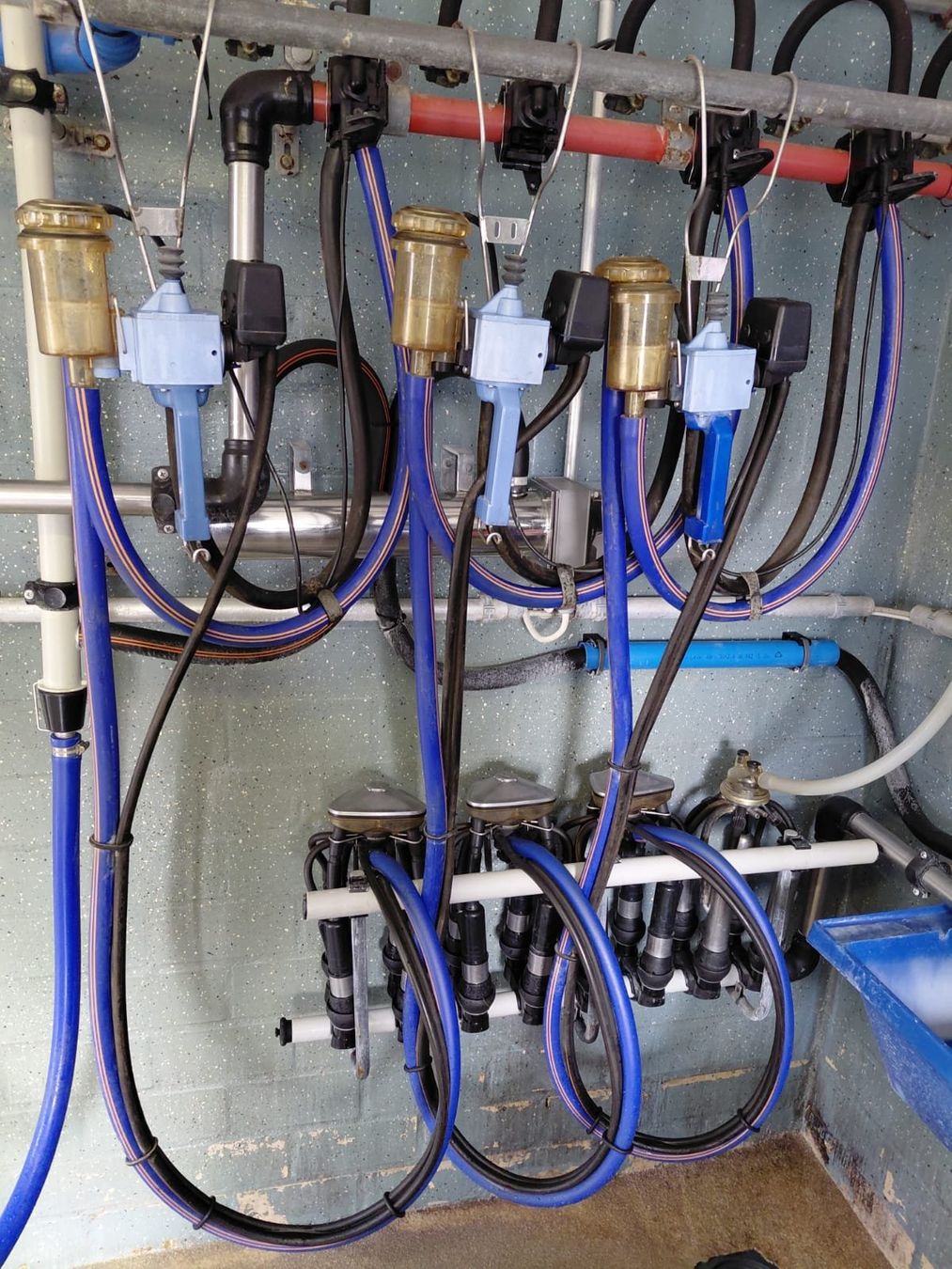 Tutte le macchine: Rohrmelkanlage – Usato da Döttingen venduto da chr_ws9f