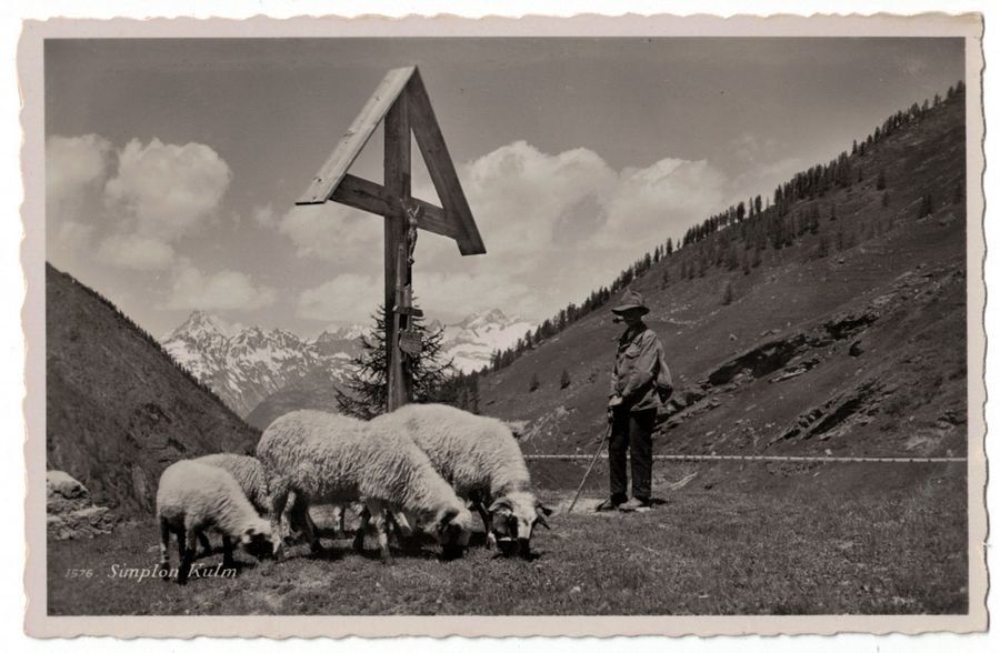Cartoline postali: Simplon Kulm, Schäfer, um 1935 – Usato da Frauenfeld venduto da POML