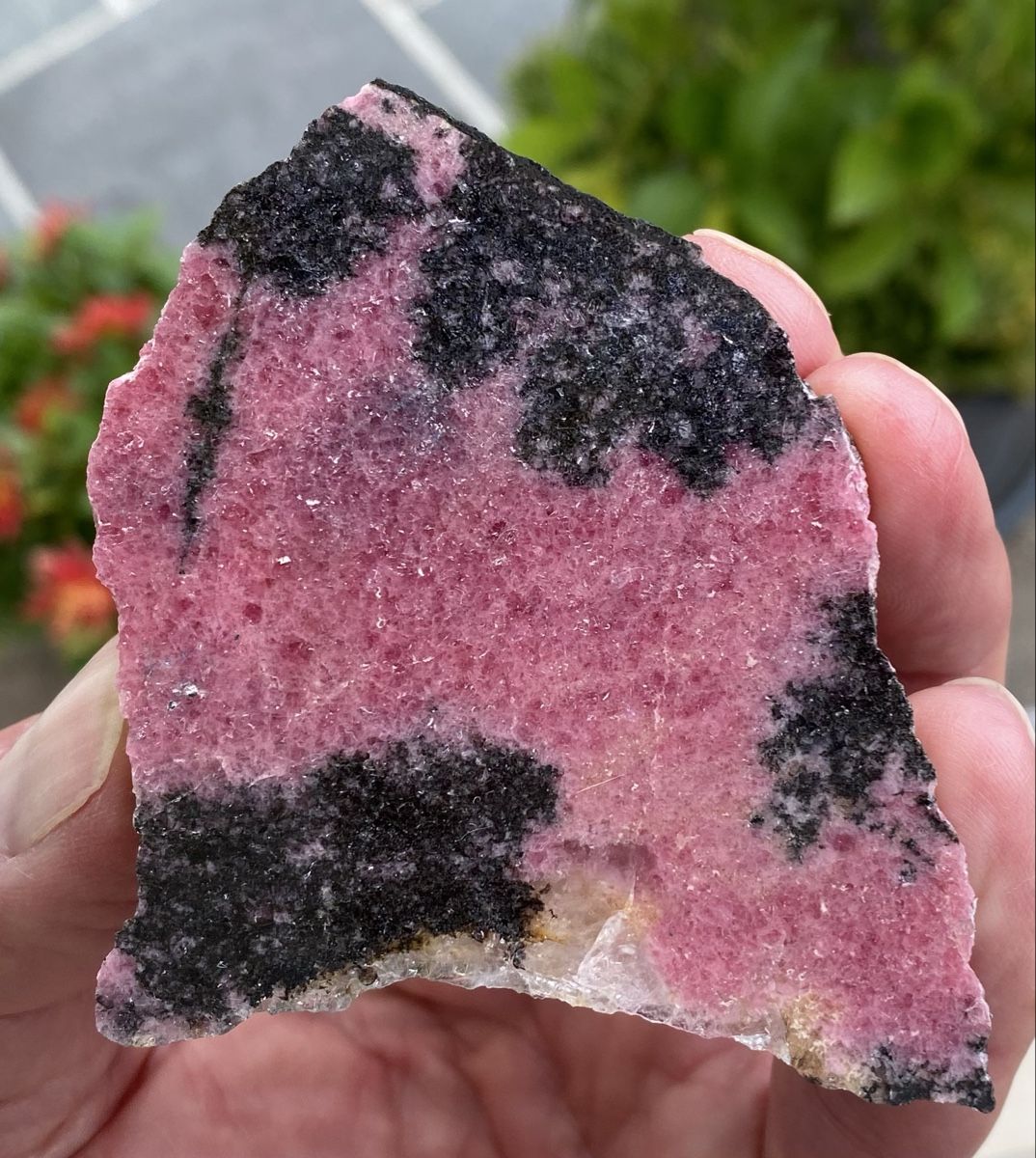 Minerali & Pietre curative: Schönes Stück Rhodonit  – Usato da Selzach venduto da 321compac 5