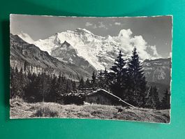 Bei Wengen - die Jungfrau