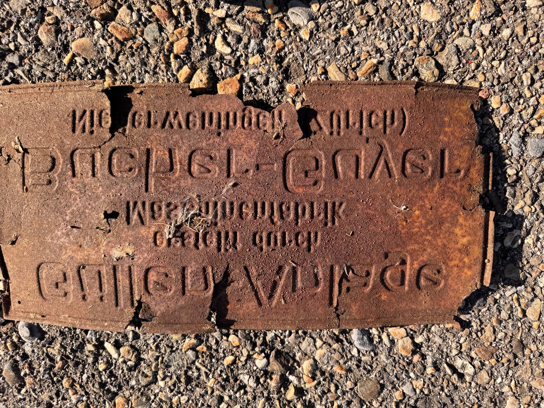 Insegne: Uraltes Blechschild Scheunenfund Bucher Guyer – Usato da Bigenthal venduto da Marcel990 1