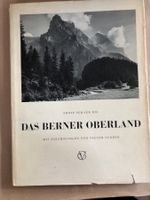 Adolf Schaer-Ris: Das Berner Oberland.