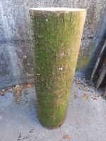 Ahorn-Holzstock, Holzrugel, kleiner Scheitstock