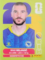Panini FIFA World Cup BIH 6