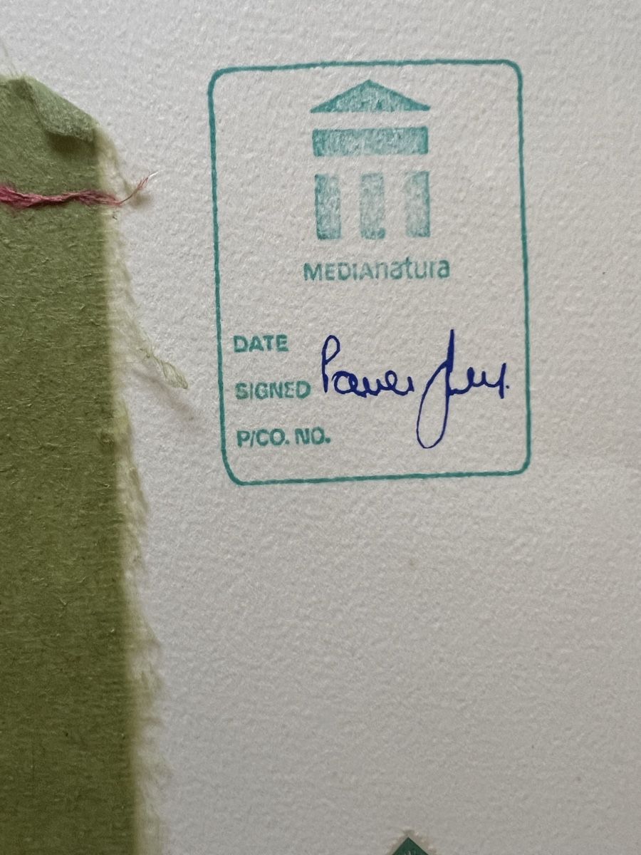 Grafica & Litografie: XAVIER LLEWELLYN, handsigniert – Usato da Rain venduto da Pic-Ass 9
