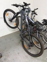 California Velo