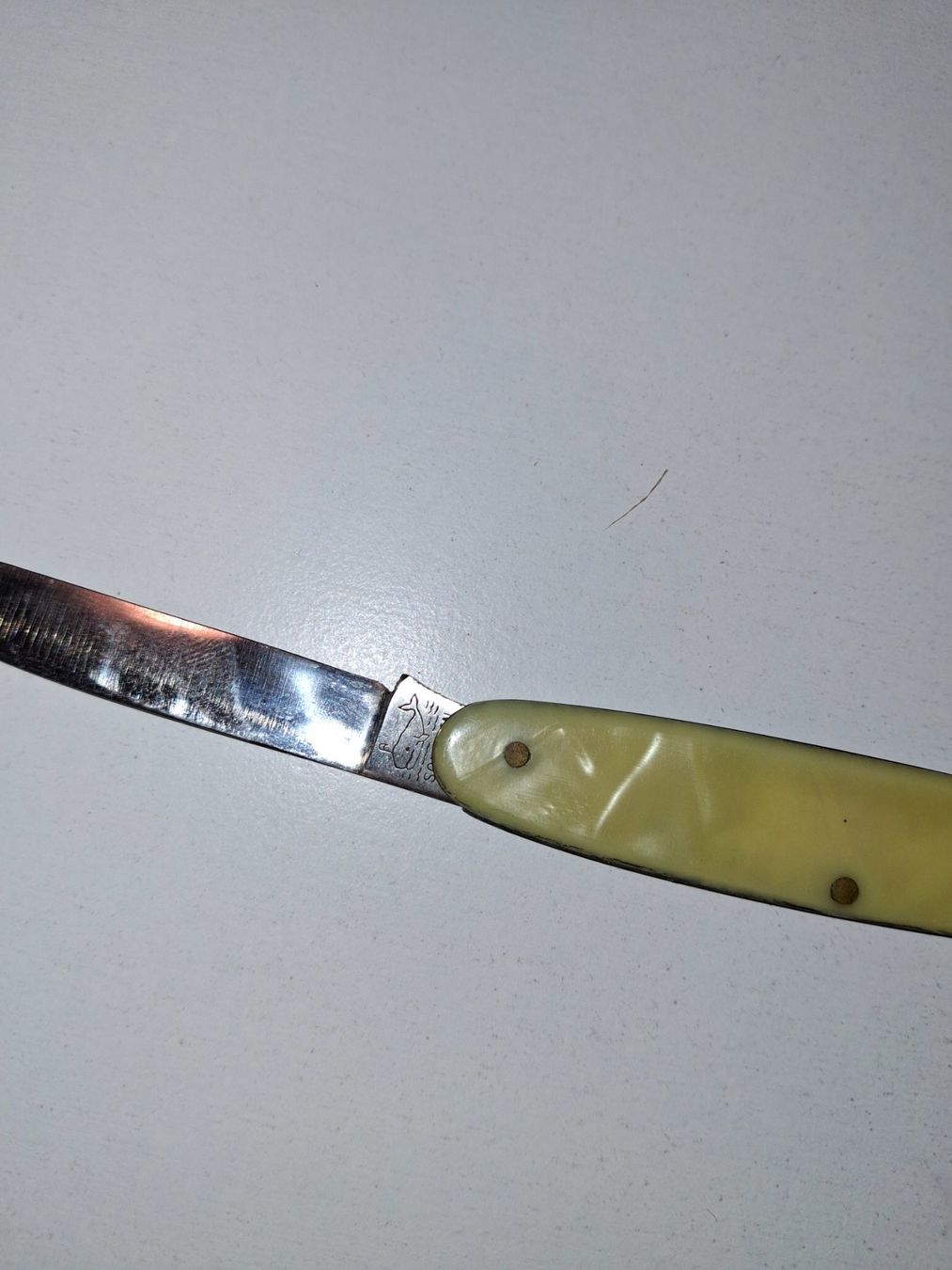 Coltelli tascabile: Sackmesser mit 2 Funktionen – Usato da Dietikon venduto da Hwengi 1