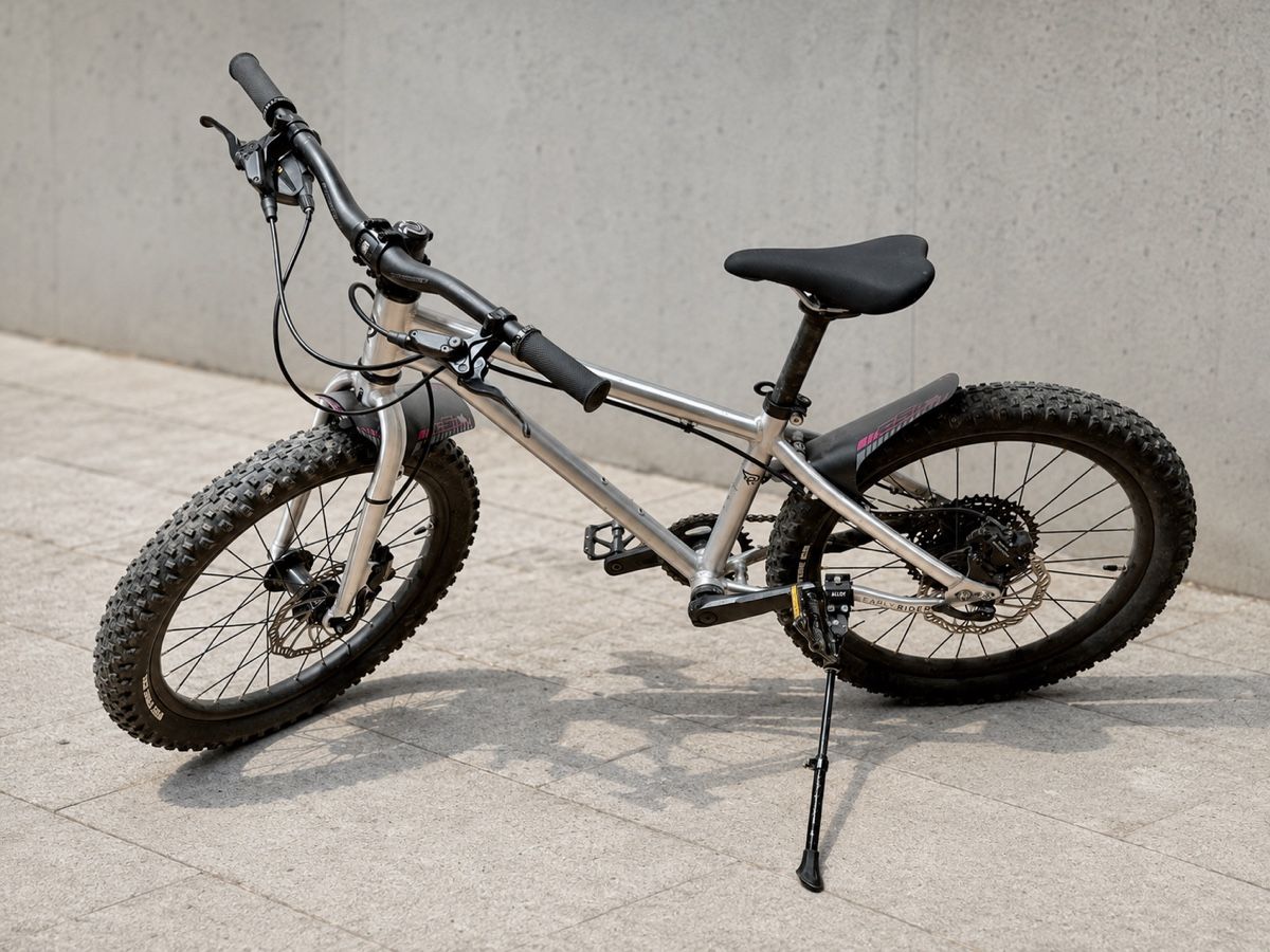 Early Rider Biciclette: Early Rider Seeker 20  – Usato da Zürich venduto da Lupo2026