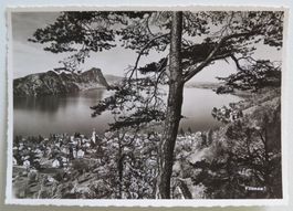 AK um 1945:  Vitznau LU / Sicht auf See und Bürgenstock
