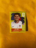 USA 14 Diego Luna Panini WM 2026 Sticker