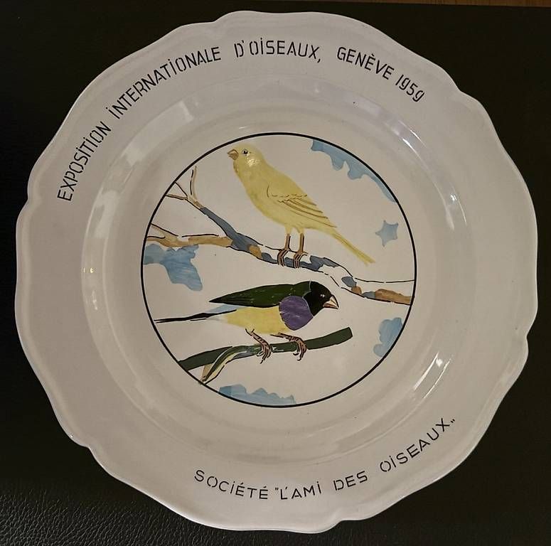 Piatti: Assiette Faience de Nyon – Usato da Adliswil venduto da Heimite