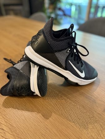 Chaussure de basket Nike LeBron taille 42, très bon état .
