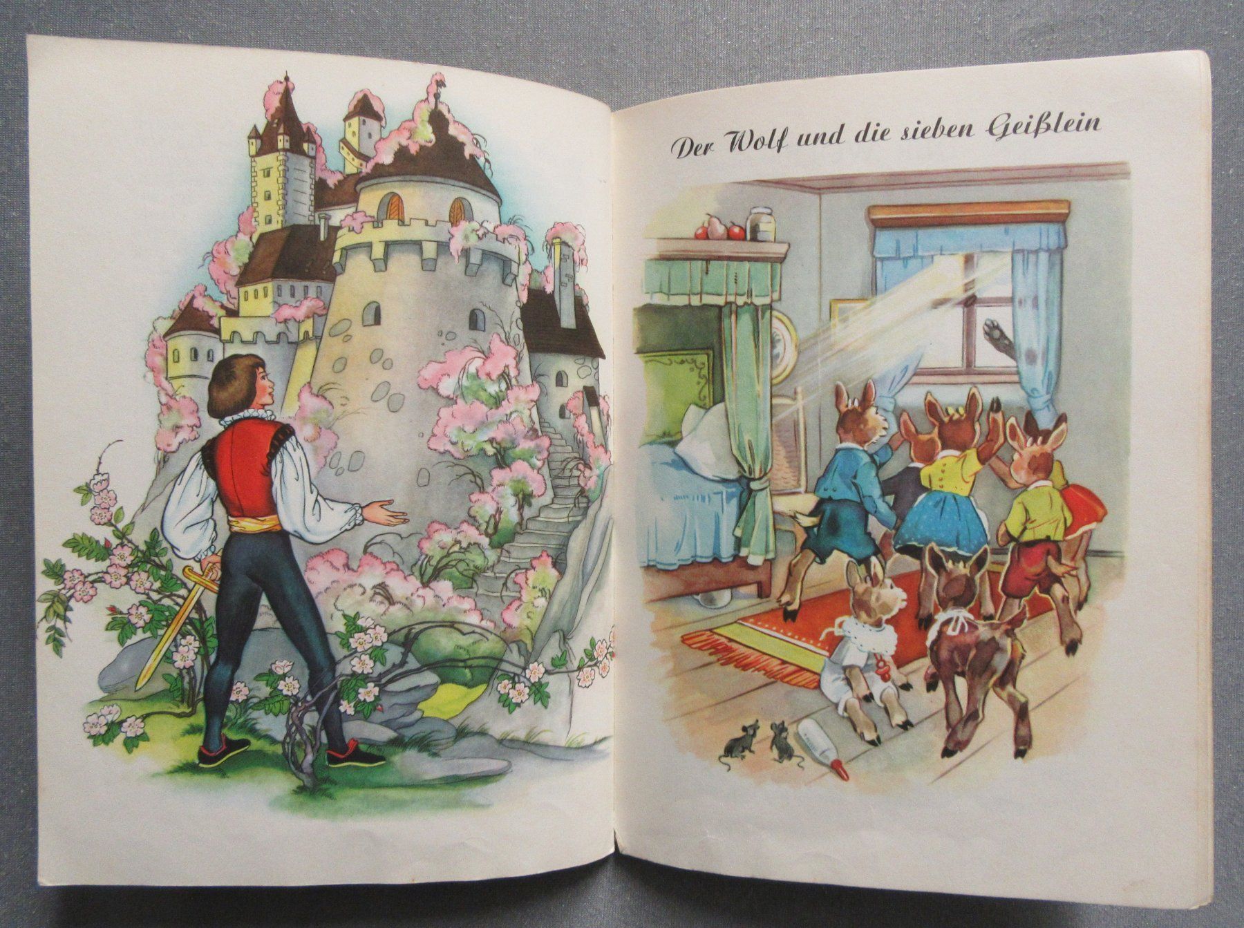 Libri: 12 der schönsten Grimms Märchen  - schön illustriert – Usato da Auenstein venduto da Padabimbim 5