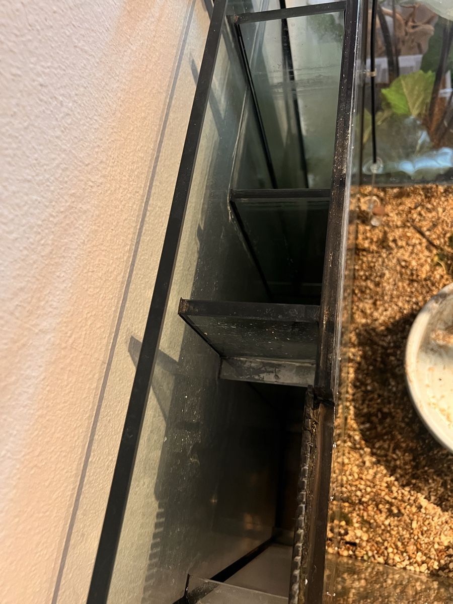 Acquari: Aquarium ohne Innhalt mit Zubehör – Usato da Walkringen venduto da ise_v5dn 4