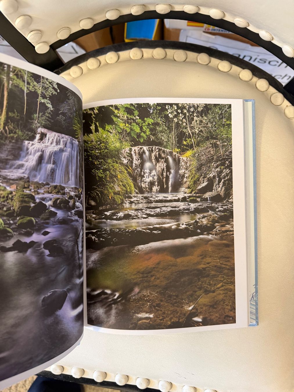 Bücher: Zürcher Wasserzeichen – Gebraucht aus Dietikon von Buchantiqdietikon 3