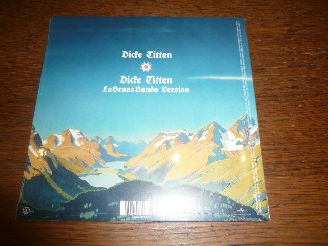 Dischi in vinile: RAMMSTEIN Dicke Titten - D 2022 - 7" SINGLE - verschweisst! – Nuovo e nell'imballaggio originale da Zofingen venduto da mooni89 1