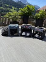 a vendre 3 boxes transport pour chiens