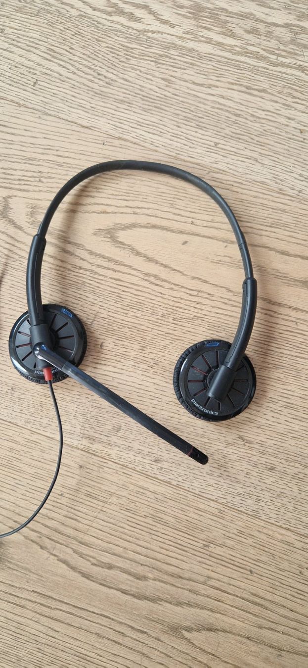 Telefoni: Plantronics Blackwire 300 DA – Usato da Zürich venduto da cbeerli1980
