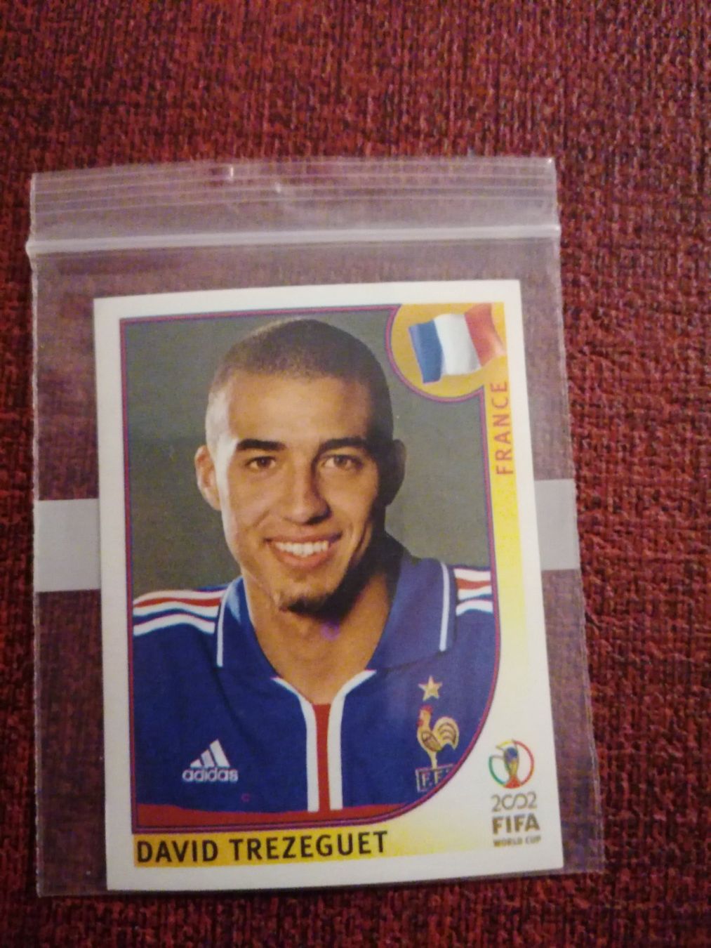Panini Carte collezionabili: Panini WM 2002 TREZEGUET Nr. 40 – Usato da Balsthal venduto da roh_dt72