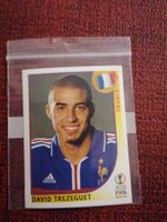Panini WM 2002 TREZEGUET Nr. 40