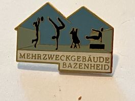 1 Pin Mehrzweckgebäude Bazenheid