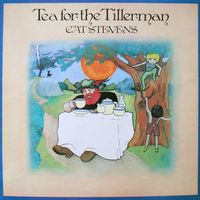 Cat Stevens