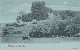 old UK Postcard PEVENSEY CASTLE peacock series AK uncirculat