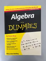 Algebra für Dummies mit Beispielaufgaben und Tipps Neuwertig