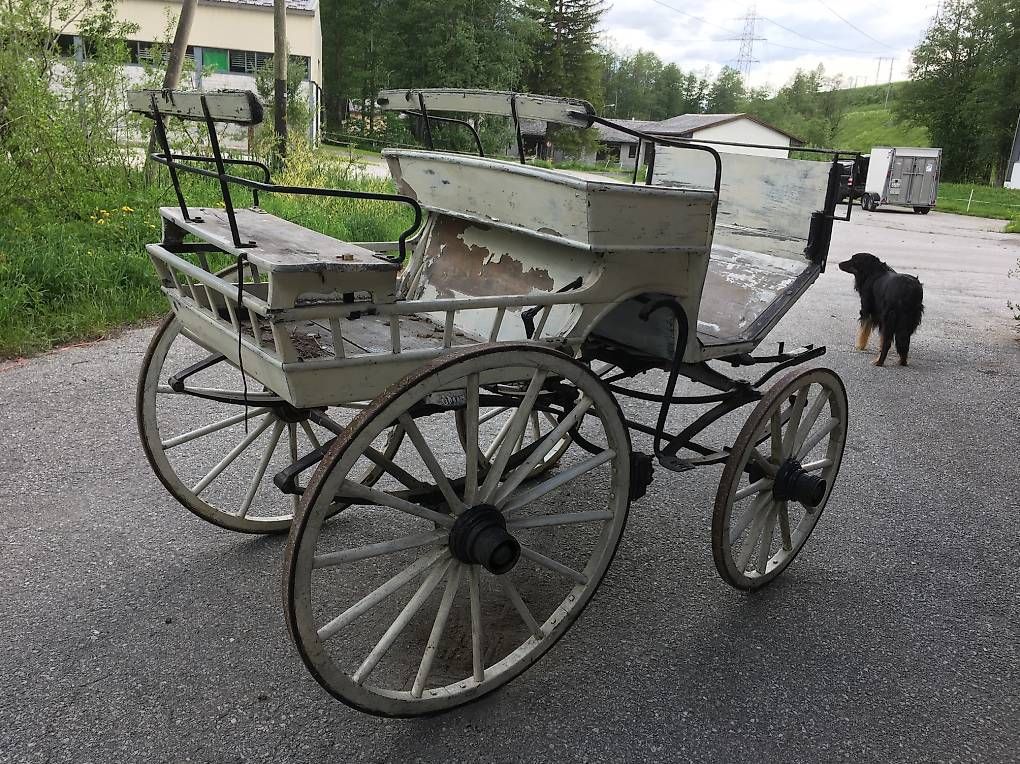 Carrozze: Historische Pferdekutsche – Usato da Niederwald venduto da Melissa911 1
