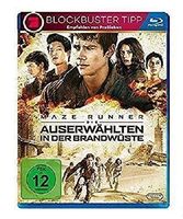 Maze Runner - Die Auserwählten in der Br