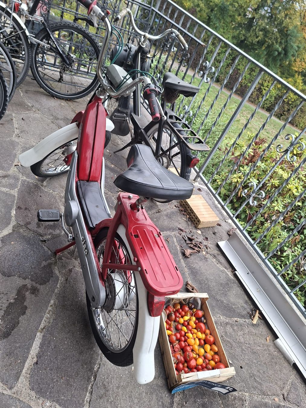 Piaggio Ciclomotori: Mofa ciao rot – Usato da Dietikon venduto da jor_sw7j 1
