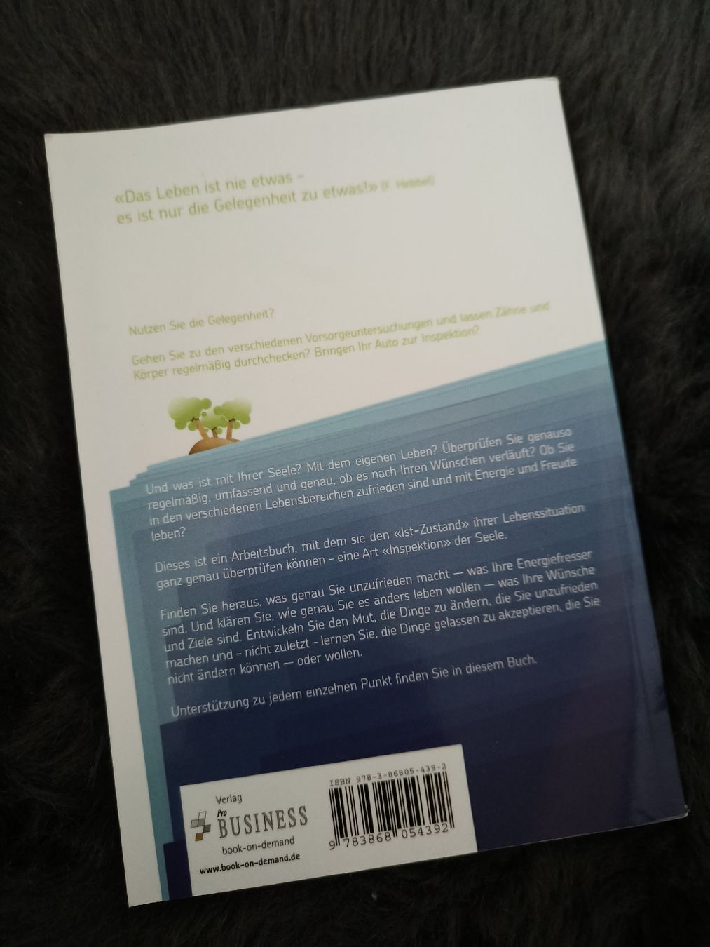Bücher: Rette sich wer will von Gaby Müller – Gebraucht aus Dietlikon von Dietlikon_Verkauf 1