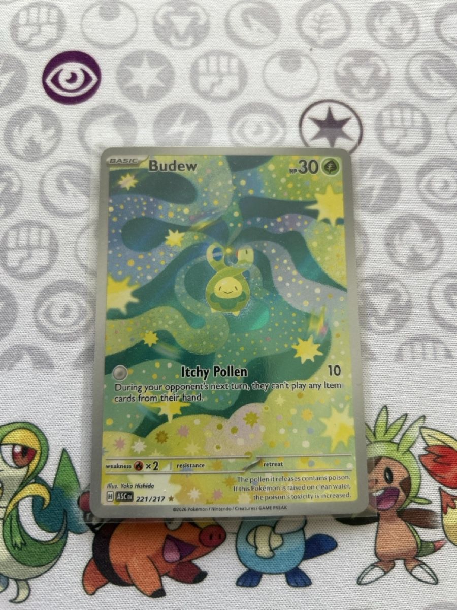 Pokémon Carte collezionabili: Budew 221/217 – Nuovo (secondo la descrizione) da Zürich venduto da AinzCHF