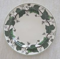 6 x WEDGWOOD NAPOLEON IVY