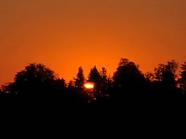 Total 1 Sonnenfinsternisbrille Gebensdorf