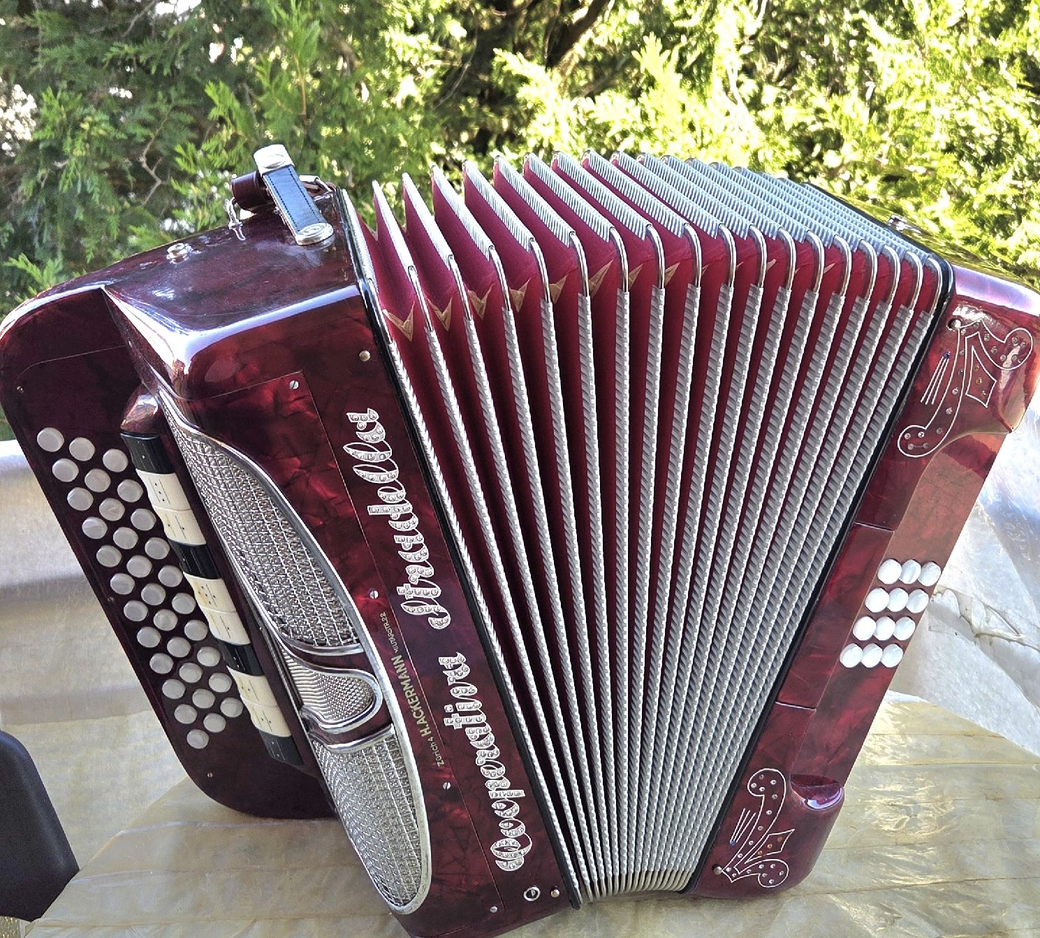 Strumenti musicali: concertina cooperativa stradella – Usato da Penthalaz venduto da EvandroLuz 2