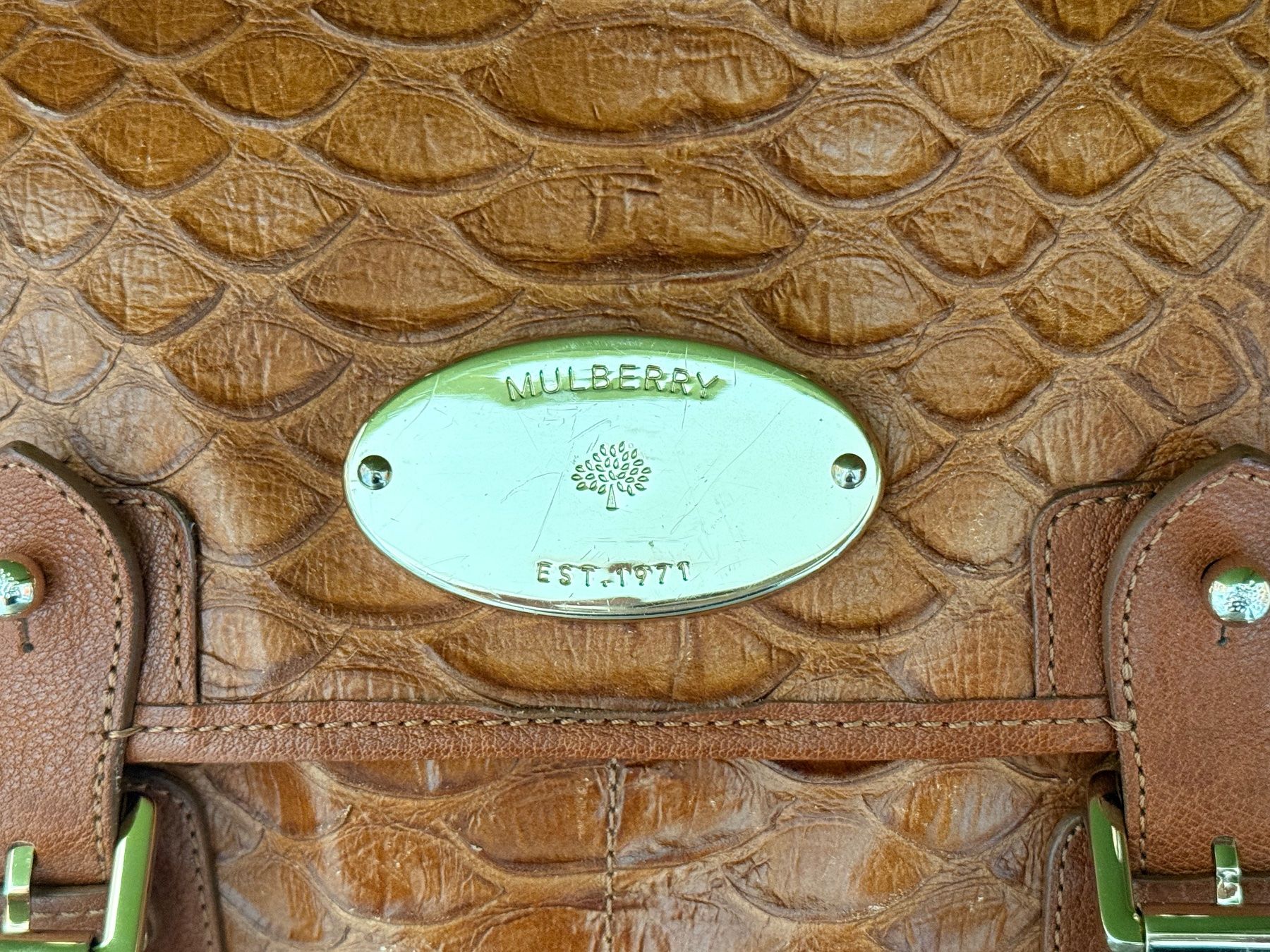 Mulberry Borse: Mulberry Oak Silky Snake Trout Bag – Usato da Frauenfeld venduto da Scleo 6