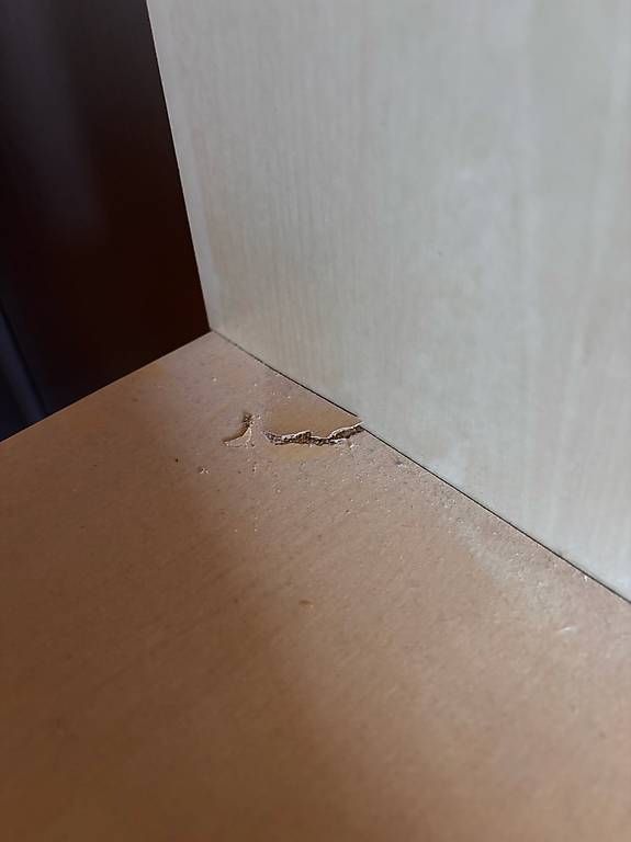 Scaffali: Ikea Würfelregal – Usato da Schaffhausen venduto da bilbo23 2