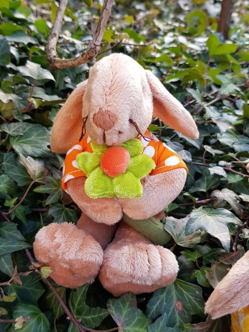 Tutte le decorazioni: FRÜHLINGS - DEKO - 3 Plüschhasen – Usato da Nottwil venduto da echtMOMO 4