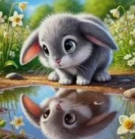 Diamond Painting Kaninchen im Spiegelbild-1-Wilde-40x40-826