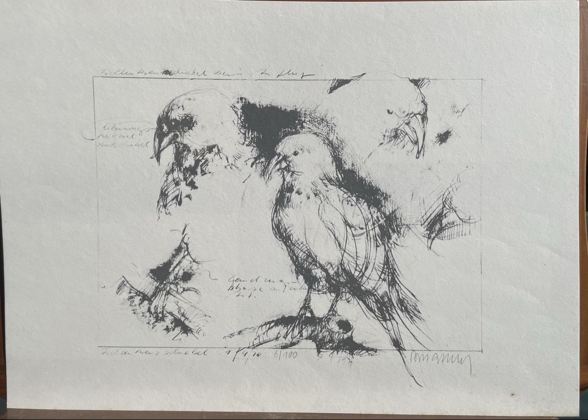 Arts picturaux & lithographies: Peter Caspary Probedruck Schnabel – D'occasion à Biel/Bienne par Galaq