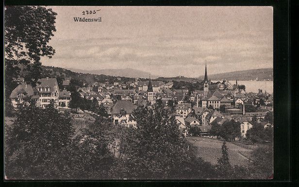Cartoline postali: AK Wädenswil, Panorama – Usato da Berlin venduto da bartko-reher