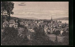 AK Wädenswil, Panorama