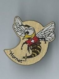 Placchette & Badge: Hornet PIN – Usato da Zürich venduto da t24_de