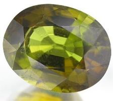 2.70 CT. DEEP LIME GREEN TOURMALINE / Wert: CHF 325.00