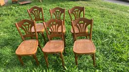 Lot 6 Chaise Horgen Glarus Stuhlen Bistrot Bois Antik RARE!