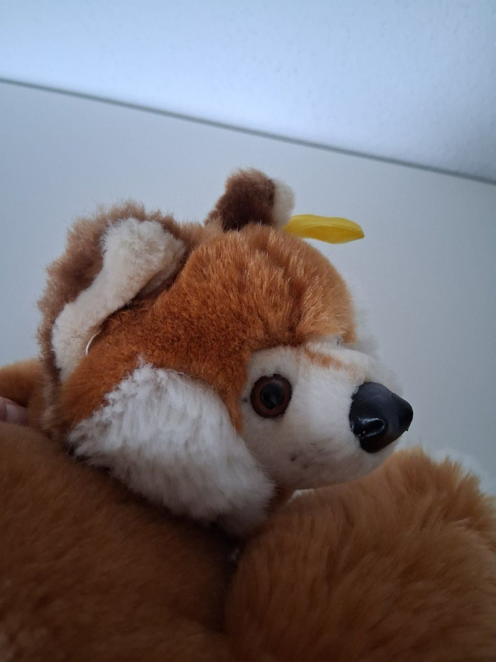 Steiff Giocattoli: Steiff Plüschtier Fuchs 21cm – Usato da Lengnau AG venduto da Nathi88 5