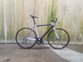 Rennrad Rennvelo Price Camapgnolo