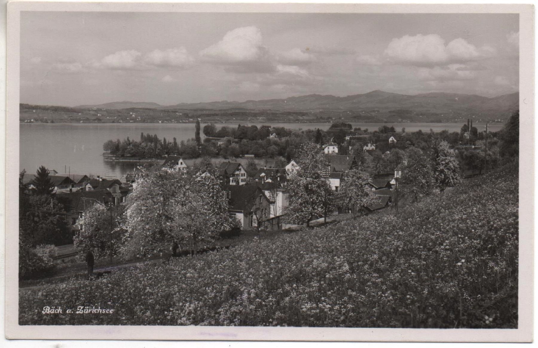 Ansichtskarten: BÄCH a. Zürichsee – Gebraucht aus Jona von philajona